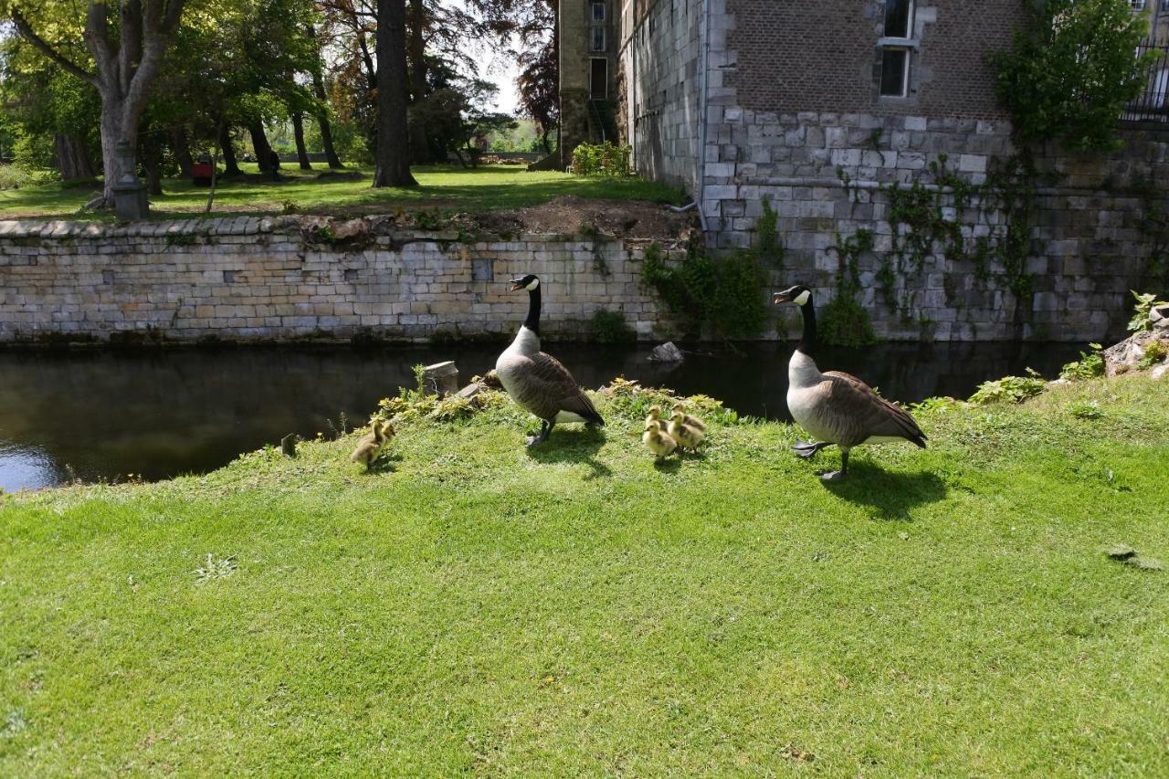 B & B Kasteelhoeve Borgharen - Maastricht Dış mekan fotoğraf